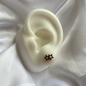 small star earrings